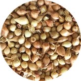 Sazečka - Štutgart 5 kg II.jakost (8-16mm)