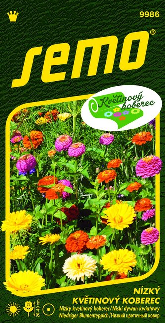 Směs Luční třpyt (Little Carpet Multicolour) 6g - série KVĚTINOVÝ KOBEREC