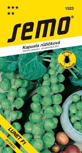 Kapusta růžičková - Lunet F1 35s