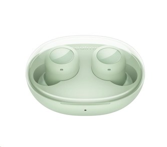 realme Buds Q2s Paper Green
