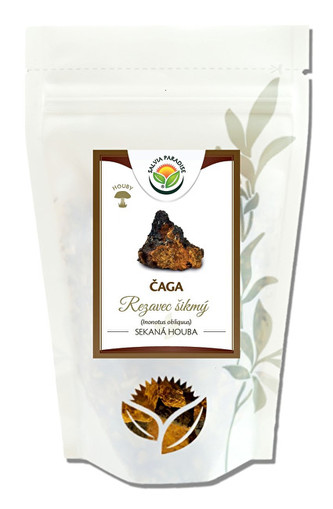 Salvia Paradise Čaga - Chaga - Rezavec šikmý 150 g