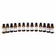 Aroma Carp Only Absolut Plum 100% Pure 30ml