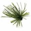 Keitech: Jig Tungsten Mono Spin 2,7g Watermelon PP