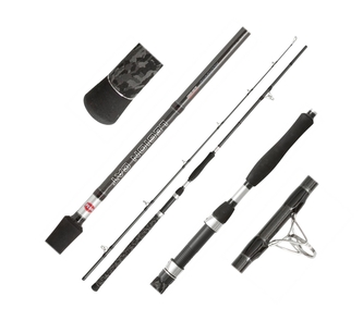 Sumcový prut Legion Cat Silver Power AR 3,00m 200-400g