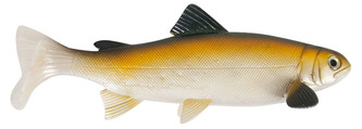 Nástraha Trout, 15 cm Vzor BT, 2ks/bal