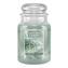 Svíčka ve skleněné dóze Country Candle, Namrzlé větvičky, 680 g