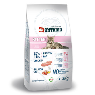 ONTARIO Kitten