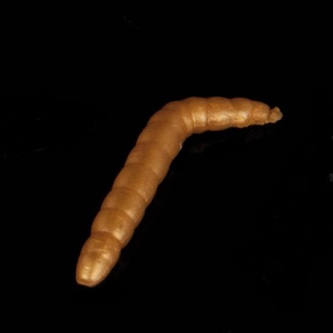 Gumová nástraha Baco Vzor GO