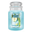 Svíčka ve skleněné dóze Country Candle, Koriandr, jablko a limetka, 680 g