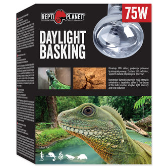 Žárovka REPTI PLANET Daylight Basking Spot