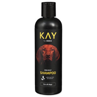 Šampon KAY for DOG s tea tree olejem