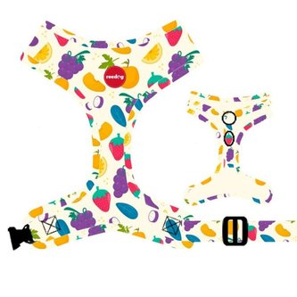 Postroj Reedog FRUIT-M