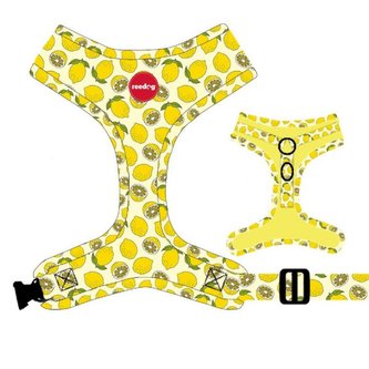 Postroj Reedog LEMON-M