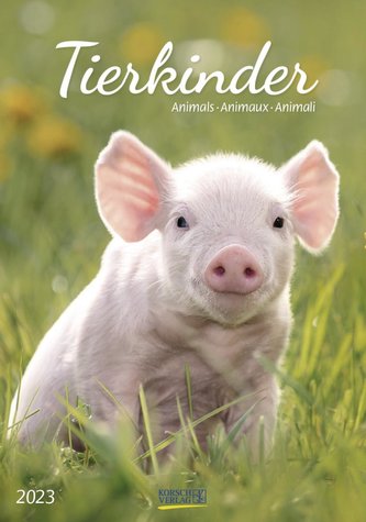 Tierkinder 2023