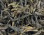 Zelený čaj Ceylon OP Green Indulgashinna - 100 g