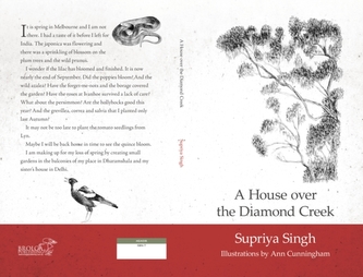 A House Over Diamond Creek