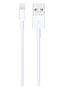 Apple Lightning to USB Cable (1m)