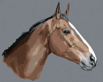 Malování podle čísel - HNĚDÝ KŮŇ NA ŠEDÉM POZADÍ - 40x50 cm, bez rámu a bez vypnutí plátna