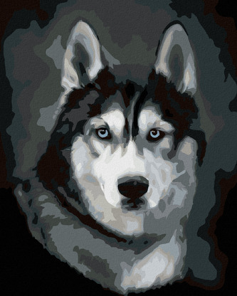 Malování podle čísel - HUSKY PORTRÉT - 80x100 cm, bez rámu a bez vypnutí plátna