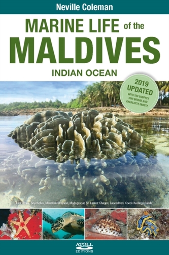Marine Life of the Maldives - Indian Ocean