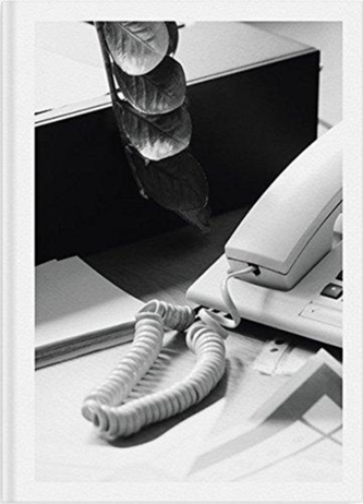 Saskia Groneberg - Buropflanze ( Office Plant )