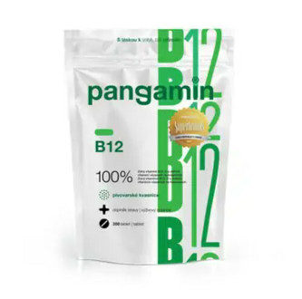 Rapeto Pangamin B12 200 tablet