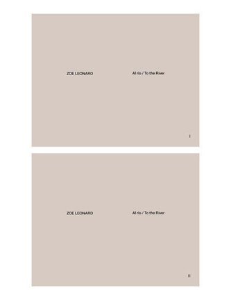 Zoe Leonard