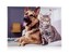 HOME DECOR Obraz DOG AND CAT 3, 40 x 30 x 2 cm