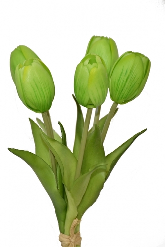 Kytička 5 zelených tulipánů, 25 cm Kytička 5 zelených tulipánů, 25 cm
