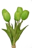 Kytička 5 zelených tulipánů, 25 cm