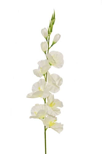 Mečík bílý 76 cm, umělý