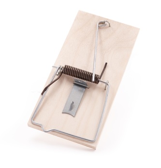 Past na krysy; 16,5x7,5 cm; dřevo