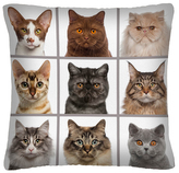 Polštář s motivem kočky 46  Mybesthome 40x40 cm