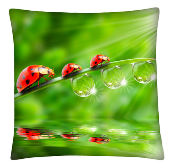 Polštář ANIMAL 22 -  LADYBUGS Mybesthome 40x40 cm Polštář ANIMAL 22 -  LADYBUGS Mybesthome 40x40 cm
