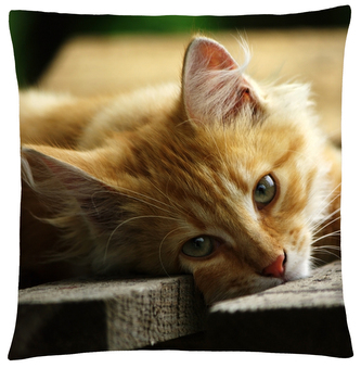 Polštář s motivem kočky 34 Mybesthome 40x40 cm Polštář s motivem kočky 34 Mybesthome 40x40 cm