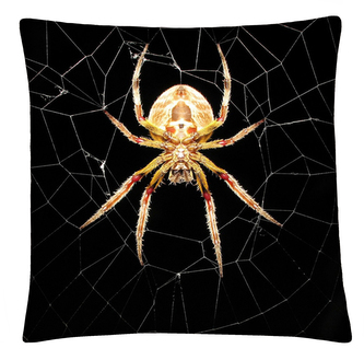 Polštář ANIMAL 19 - PAVOUK Mybesthome 40x40 cm Polštář ANIMAL 19 - PAVOUK Mybesthome 40x40 cm