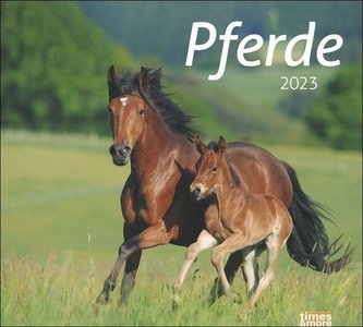 times&more Pferde Bildkalender 2023