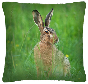 Polštář animal 06 - ZAJÍC  Mybesthome 40x40 cm Polštář animal 06 - ZAJÍC  Mybesthome 40x40 cm