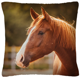 Polštář s motivem koně 36 Mybesthome 40x40 cm