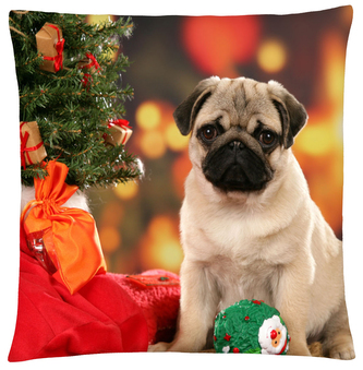 Polštář s motivem zimního mopslíka  Mybesthome 40x40 cm