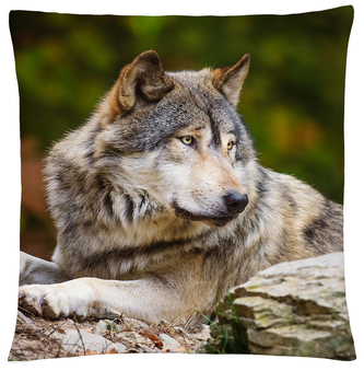 Polštář s vlkem 23 Mybesthome 40x40 cm Polštář s vlkem 23 Mybesthome 40x40 cm