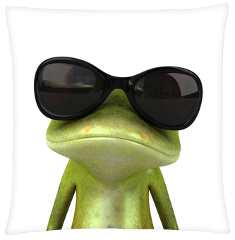 Polštář FROG 04 Mybesthome 40x40 cm Polštář FROG 04 Mybesthome 40x40 cm