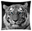 Polštář ANIMAL 33 - TYGR Mybesthome 40x40 cm