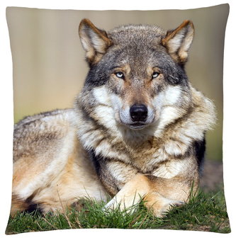Polštář s vlkem 22 Mybesthome 40x40 cm Polštář s vlkem 22 Mybesthome 40x40 cm