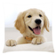 Polštář s motivem psa 26 Retriever Mybesthome 40x40 cm