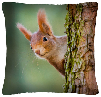 Polštář animal 03 - VEVERKA I. Mybesthome 40x40 cm