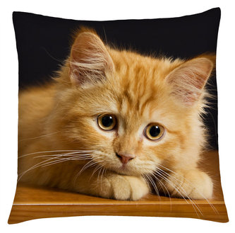 Polštář s motivem kočky 05 Mybesthome 40x40 cm Polštář s motivem kočky 05 Mybesthome 40x40 cm