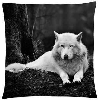 Polštář s vlkem 33 Mybesthome 40x40 cm Polštář s vlkem 33 Mybesthome 40x40 cm