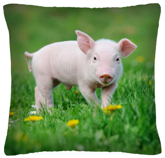 Polštář animal 04 - PRASÁTKO Mybesthome 40x40 cm Polštář animal 04 - PRASÁTKO Mybesthome 40x40 cm