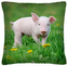 Polštář animal 04 - PRASÁTKO Mybesthome 40x40 cm